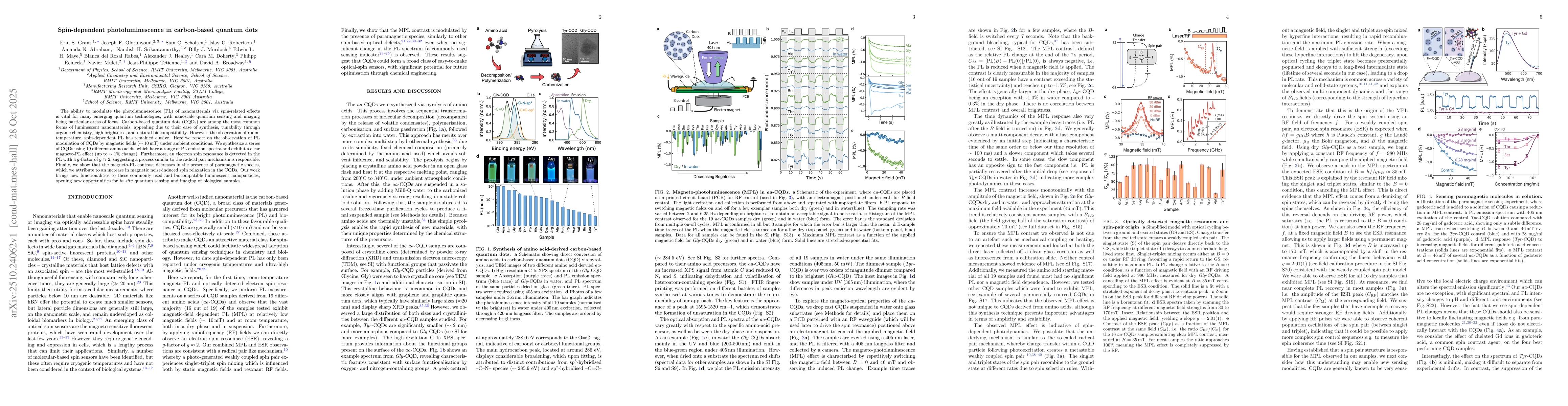 Thumbnail for Spin-dependent photoluminescence in carbon-based quantum dots