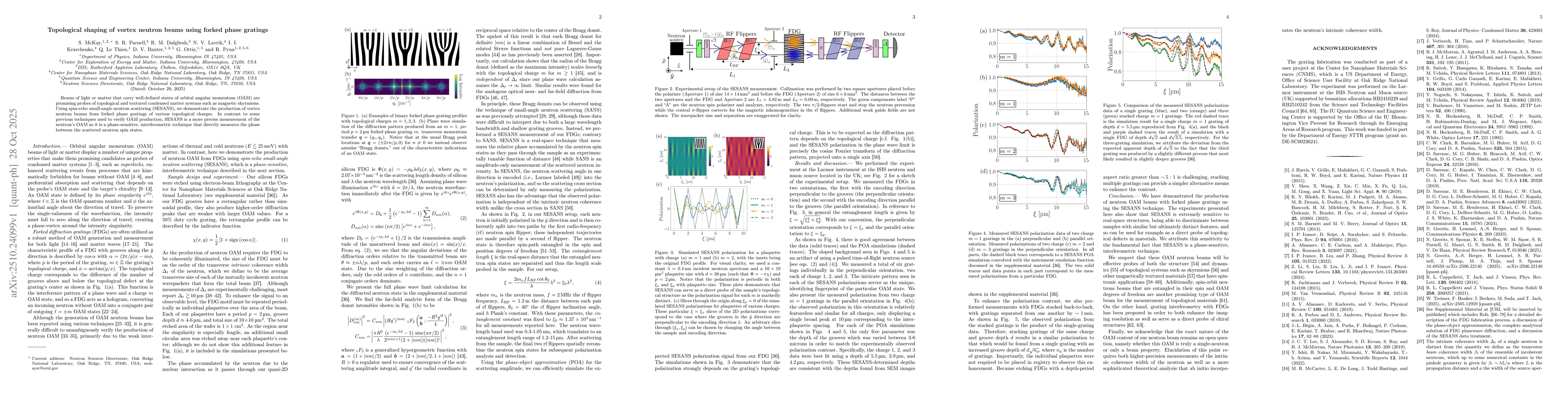 Thumbnail for Topological shaping of vortex neutron beams using forked phase gratings