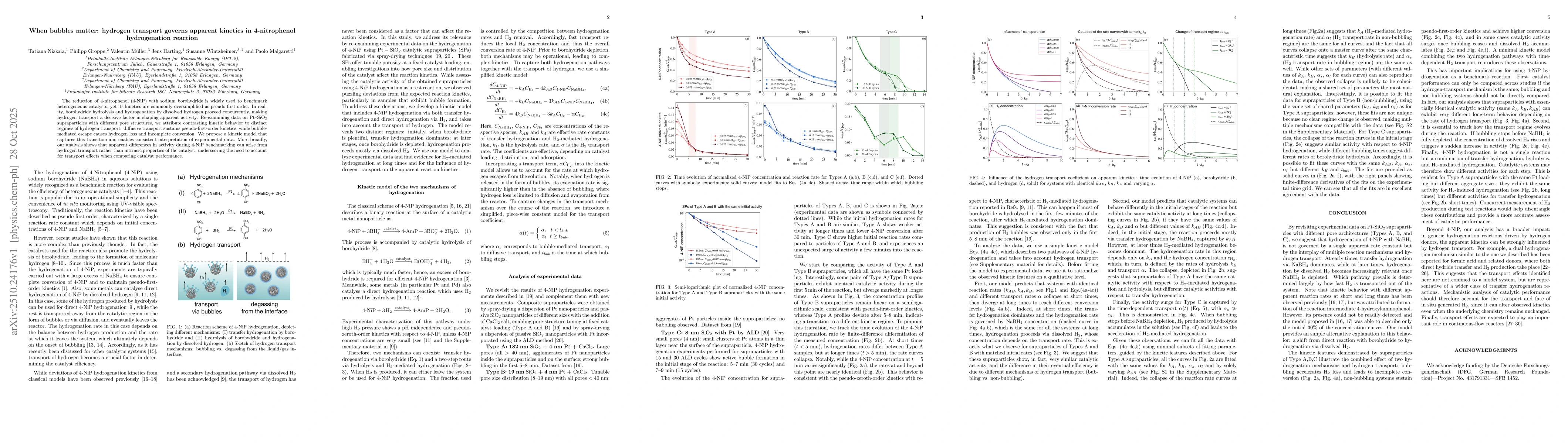 Thumbnail for When bubbles matter: hydrogen transport governs apparent kinetics in
  4-nitrophenol hydrogenation reaction