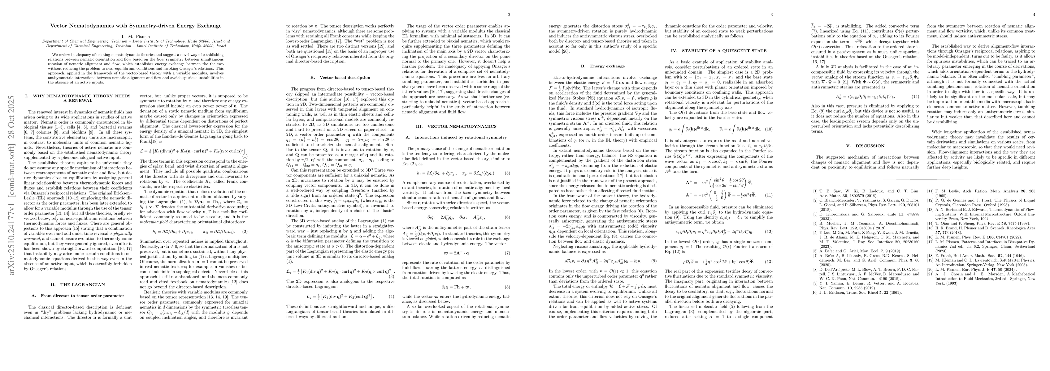 Thumbnail for Vector Nematodynamics with Symmetry-driven Energy Exchange