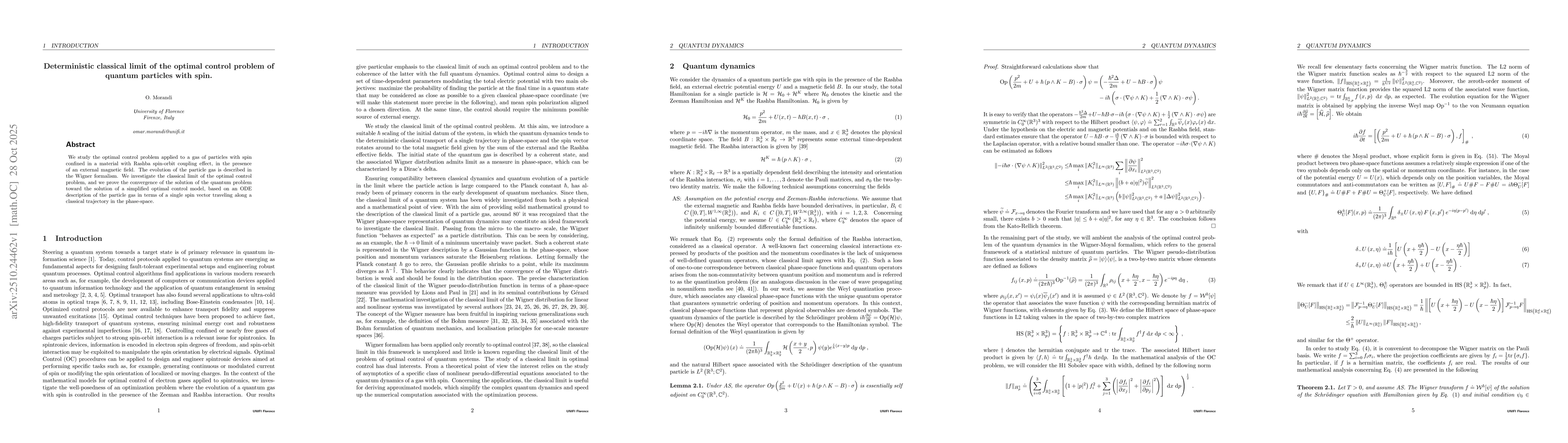 Thumbnail for Deterministic classical limit of the optimal control problem of quantum
  particles with spin