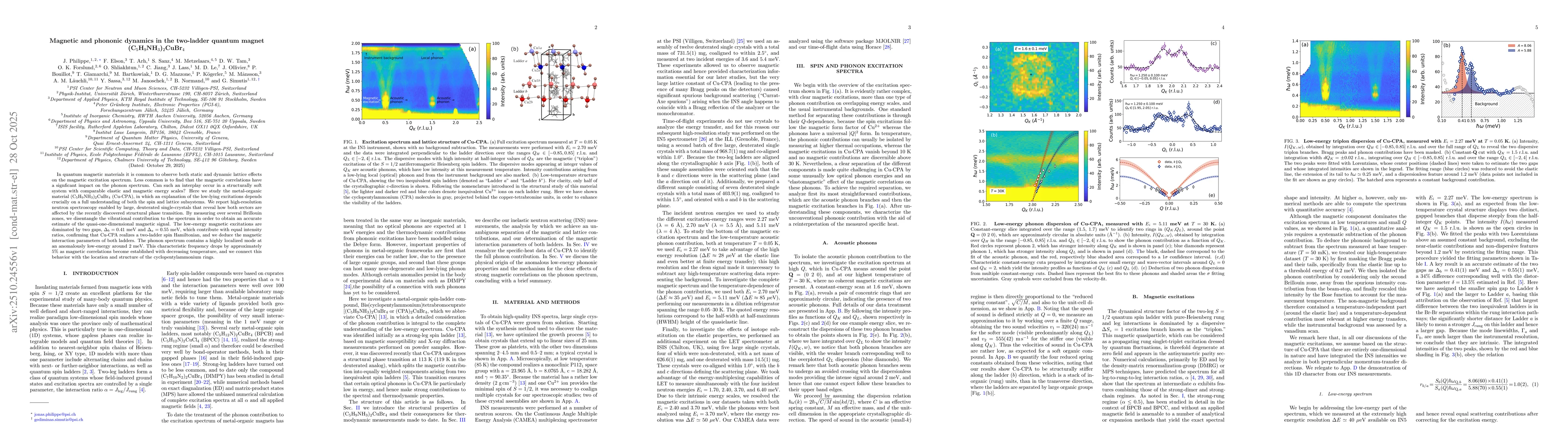 Thumbnail for Magnetic and phononic dynamics in the two-ladder quantum magnet
  (C5H9NH3)2CuBr4