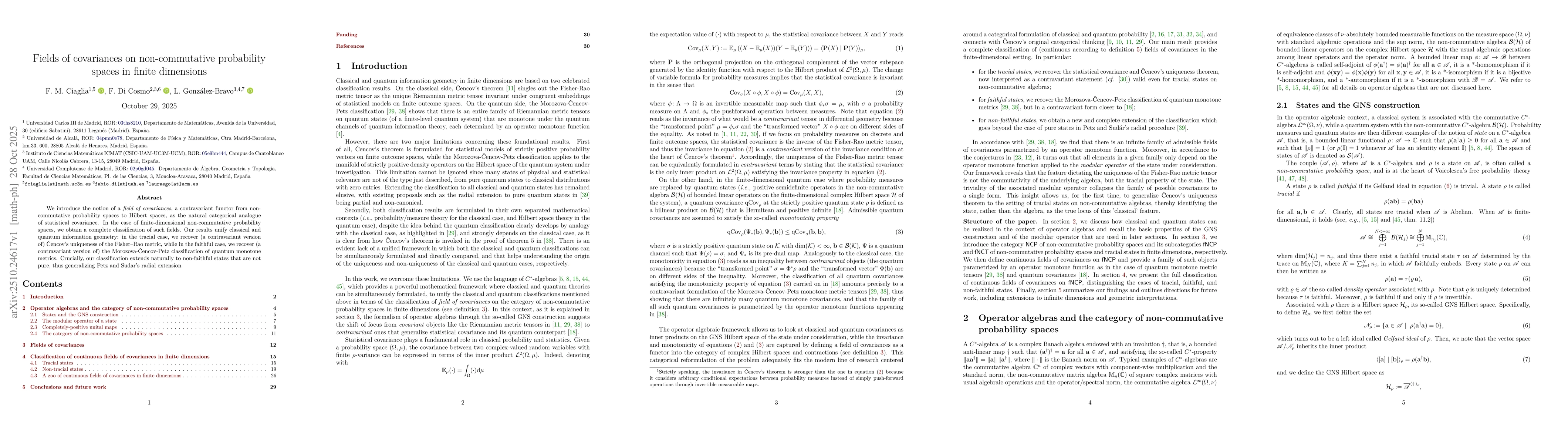 Thumbnail for Fields of covariances on non-commutative probability spaces in finite
  dimensions