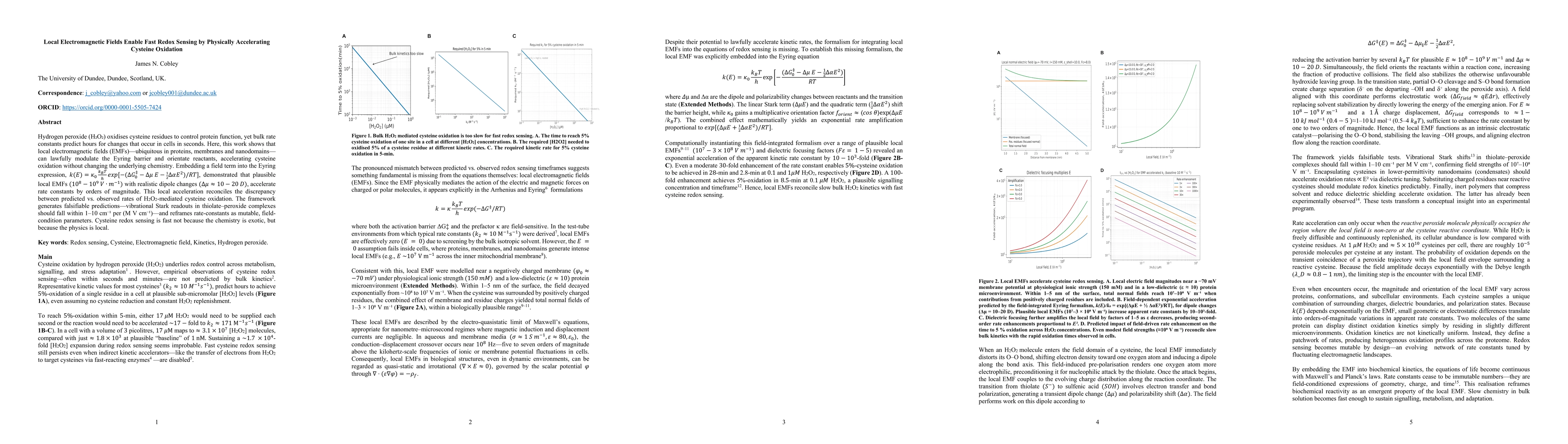 Thumbnail for Local Electromagnetic Fields Enable Fast Redox Sensing by Physically
  Accelerating Cysteine Oxidation