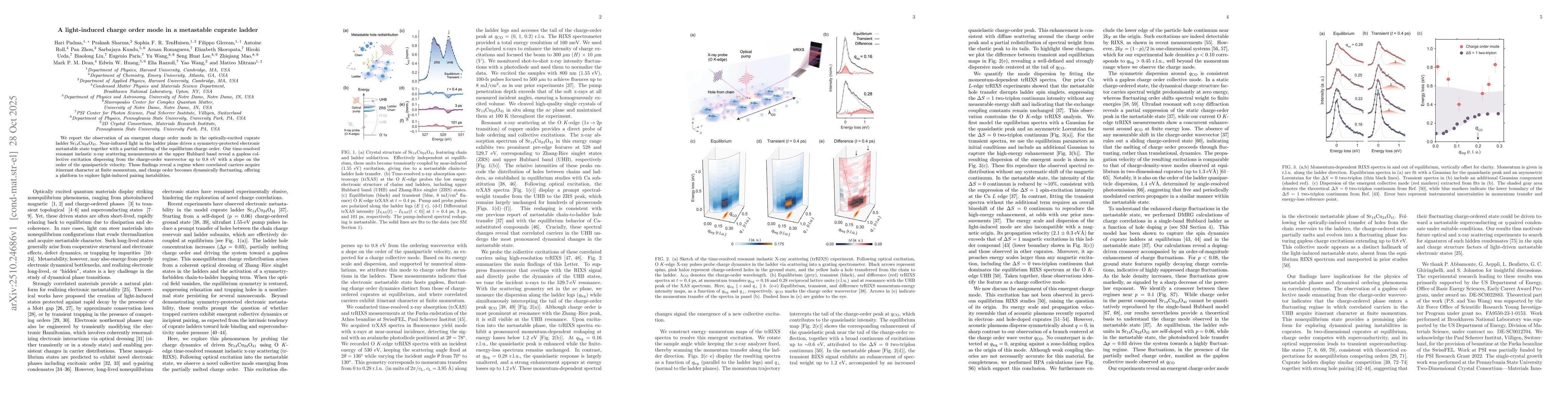 Thumbnail for A light-induced charge order mode in a metastable cuprate ladder