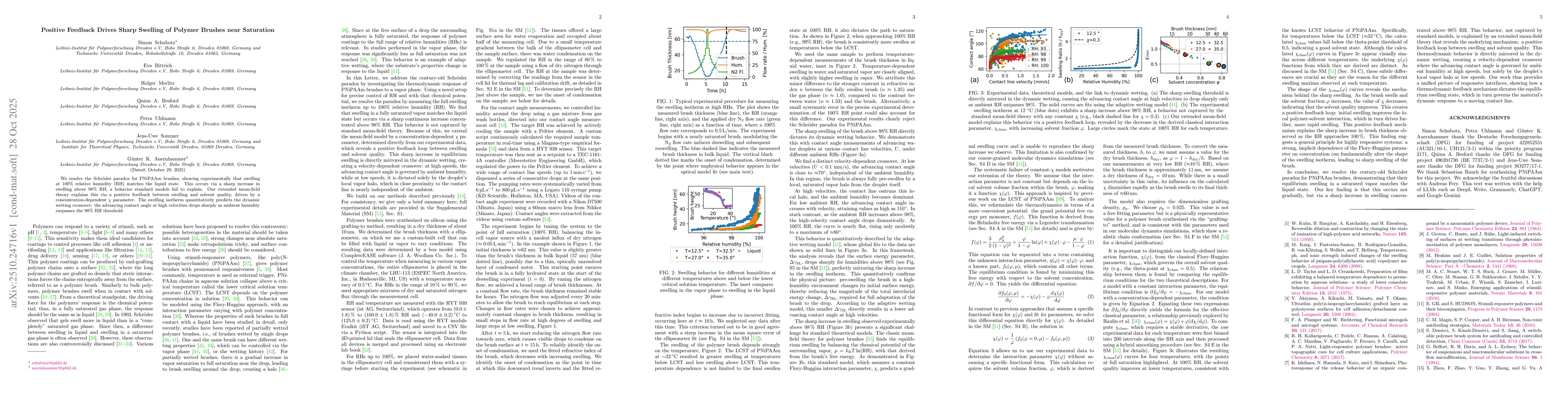 Thumbnail for Positive Feedback Drives Sharp Swelling of Polymer Brushes near
  Saturation