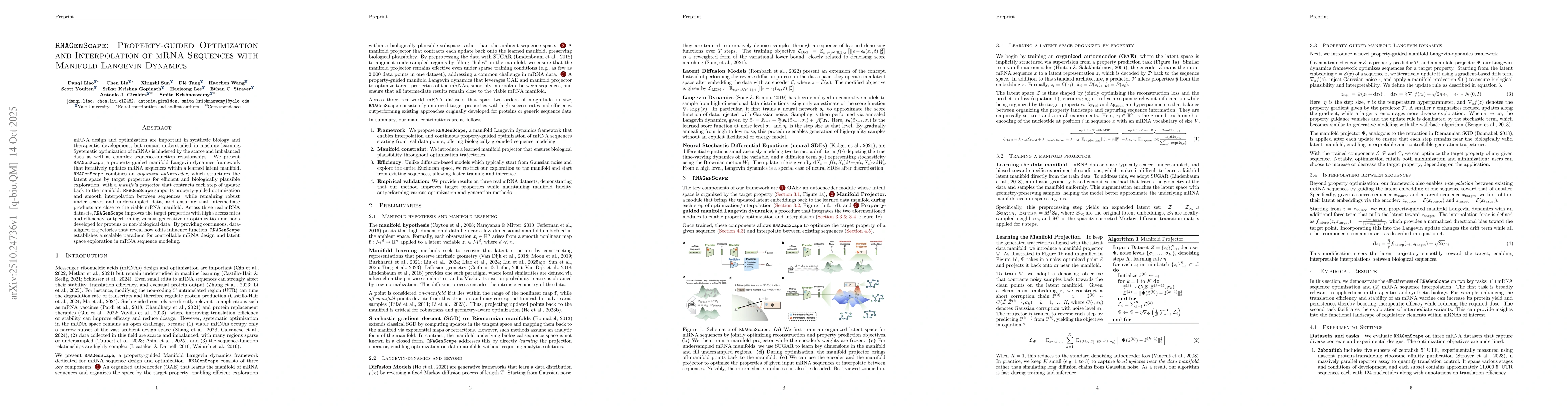Thumbnail for RNAGenScape: Property-guided Optimization and Interpolation of mRNA
  Sequences with Manifold Langevin Dynamics