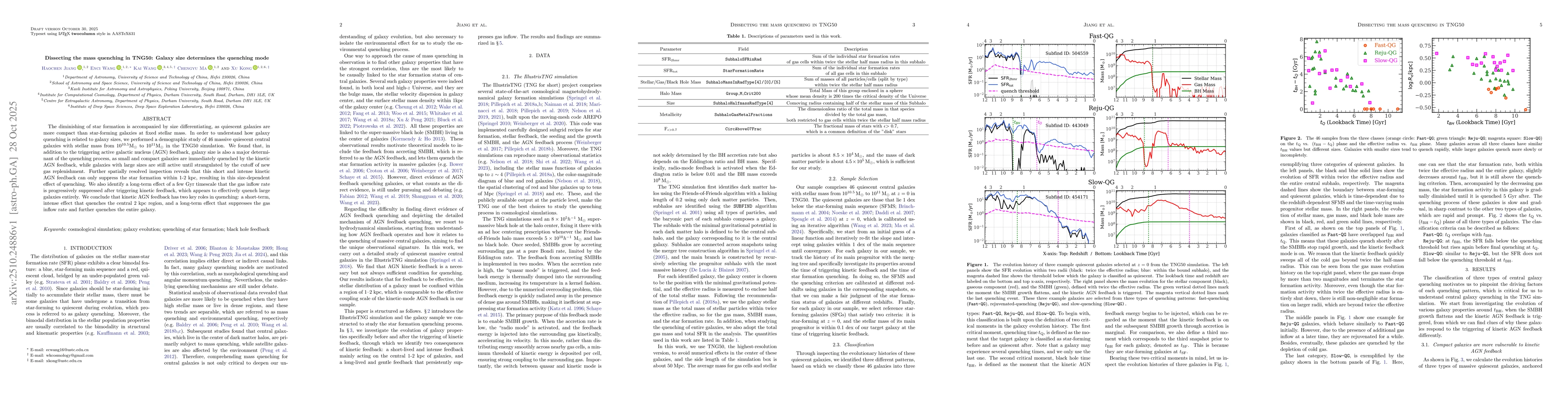 Thumbnail for Dissecting the mass quenching in TNG50: Galaxy size determines the
  quenching mode