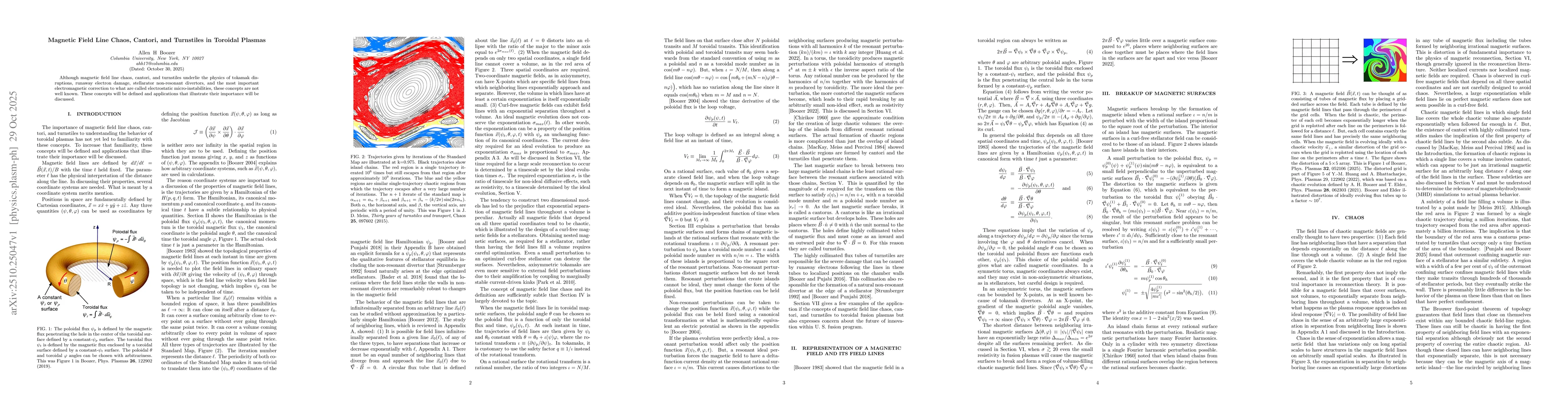 Thumbnail for Magnetic Field Line Chaos, Cantori, and Turnstiles in Toroidal Plasmas