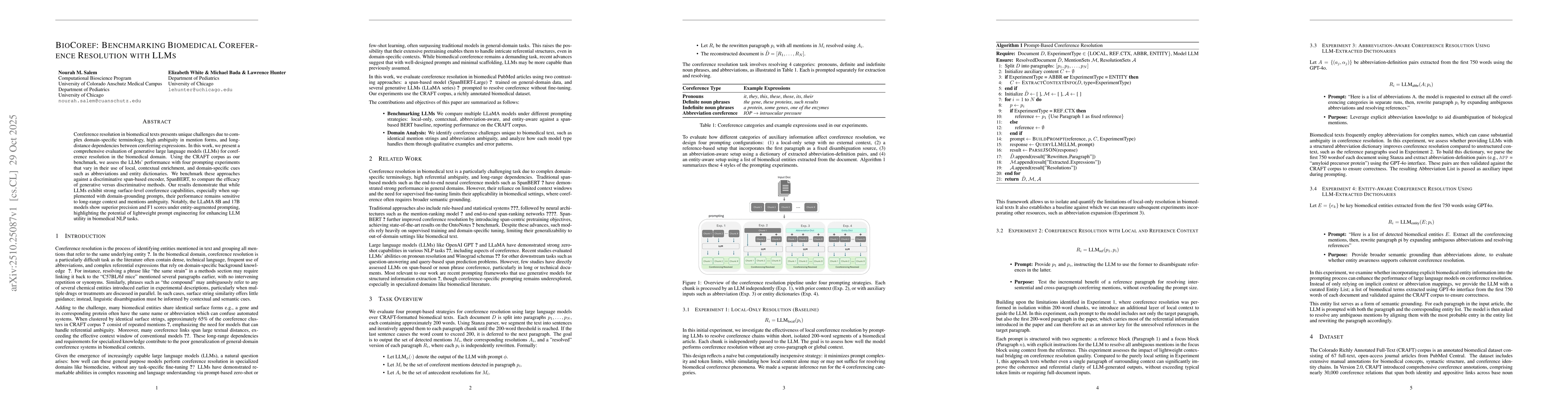 Thumbnail for BioCoref: Benchmarking Biomedical Coreference Resolution with LLMs