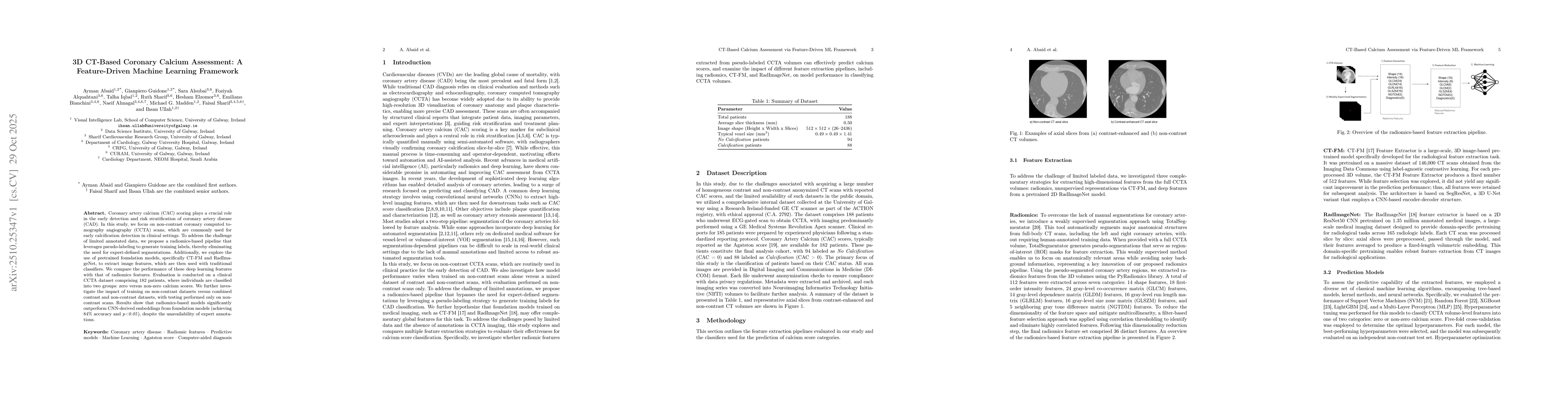 Thumbnail for 3D CT-Based Coronary Calcium Assessment: A Feature-Driven Machine
  Learning Framework