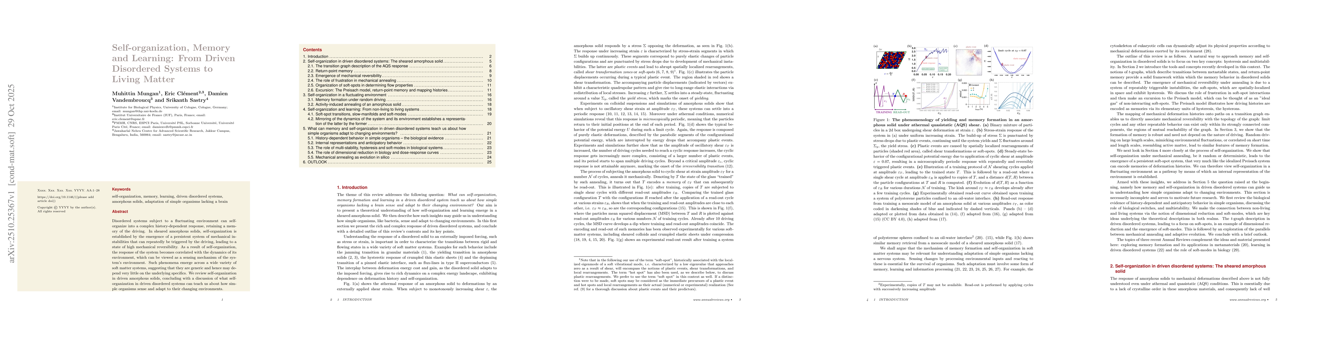 Thumbnail for Self-organization, Memory and Learning: From Driven Disordered Systems
  to Living Matter