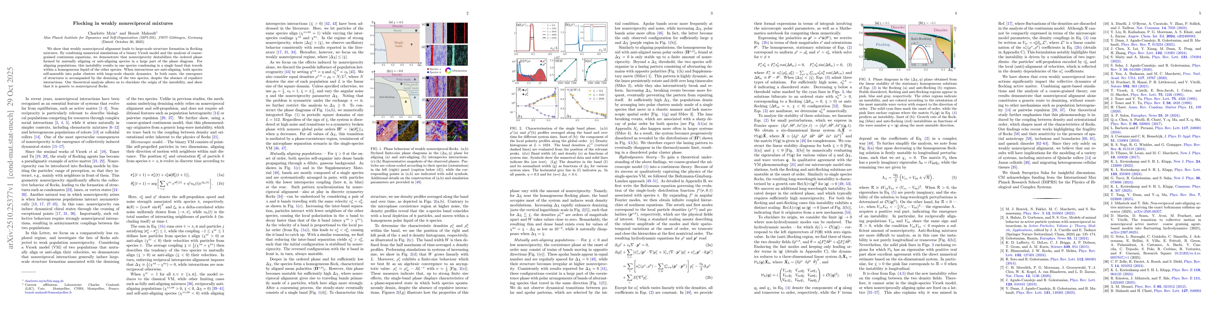 Thumbnail for Flocking in weakly nonreciprocal mixtures