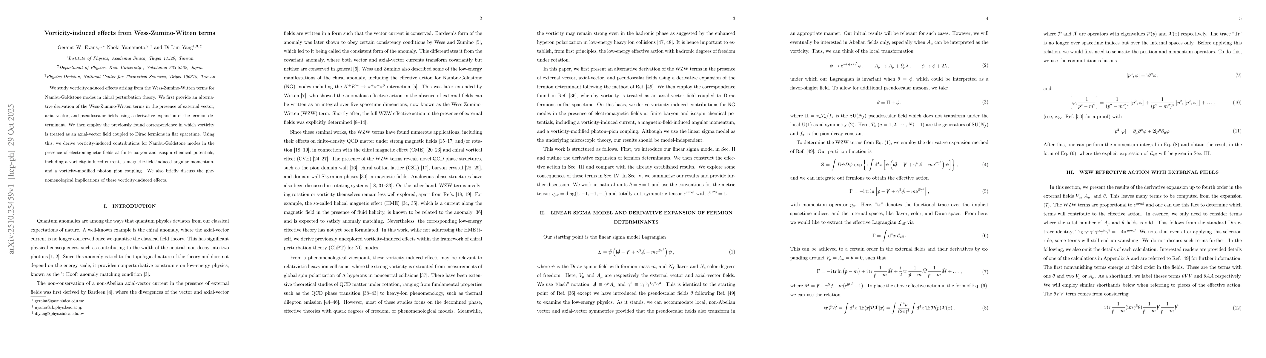 Thumbnail for Vorticity-induced effects from Wess-Zumino-Witten terms