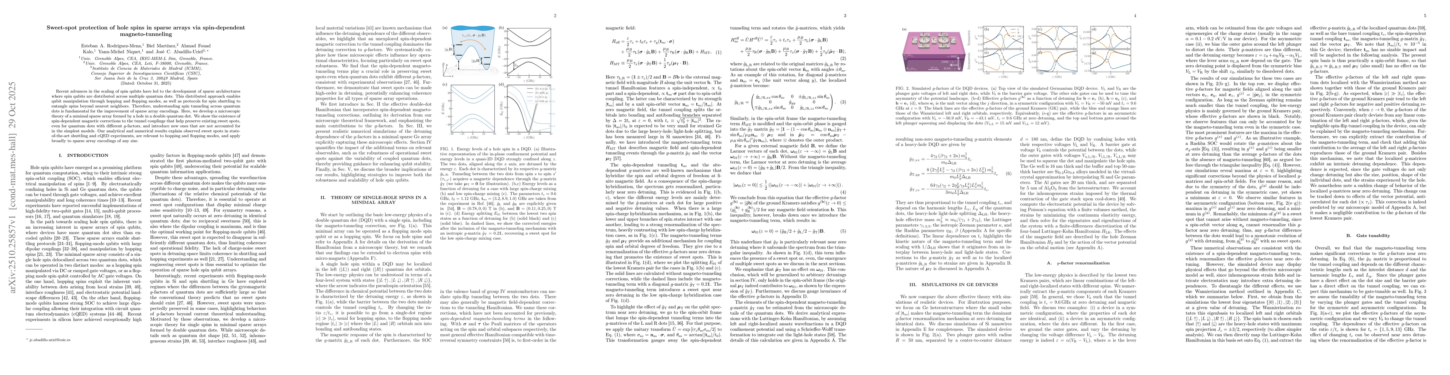 Thumbnail for Sweet-spot protection of hole spins in sparse arrays via spin-dependent
  magneto-tunneling