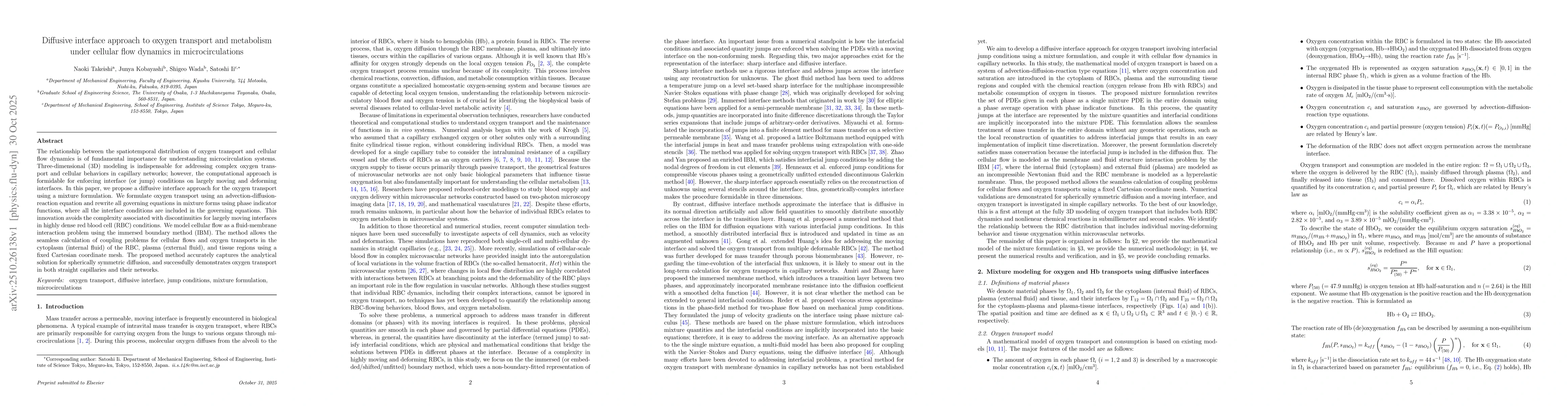 Thumbnail for Diffusive interface approach to oxygen transport and metabolism under
  cellular flow dynamics in microcirculations