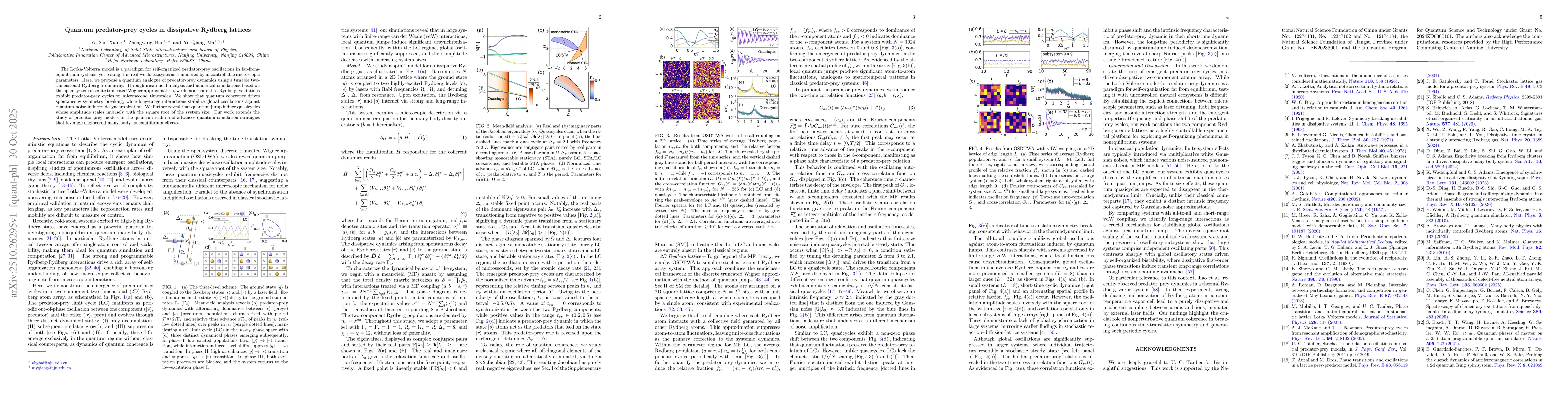 Thumbnail for Quantum predator-prey cycles in dissipative Rydberg lattices