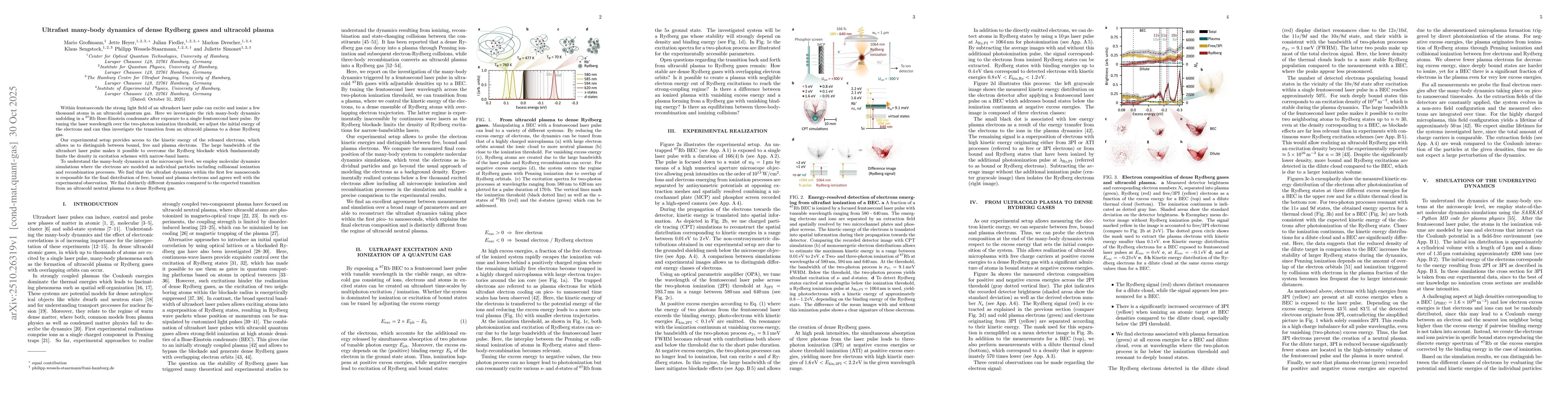 Thumbnail for Ultrafast many-body dynamics of dense Rydberg gases and ultracold plasma