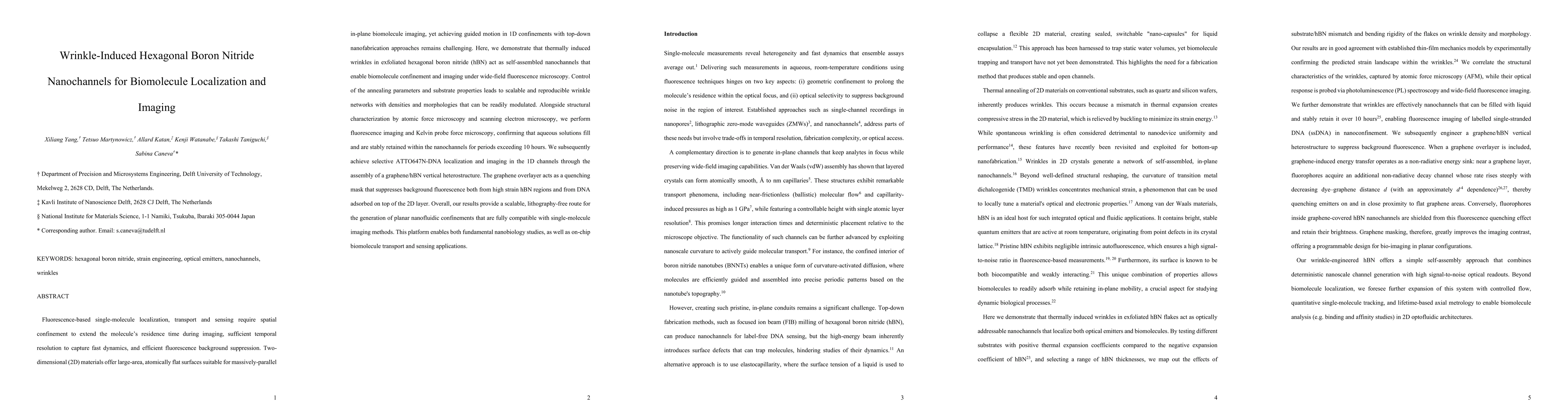 Thumbnail for Wrinkle-Induced Hexagonal Boron Nitride Nanochannels for Biomolecule
  Localization and Imaging