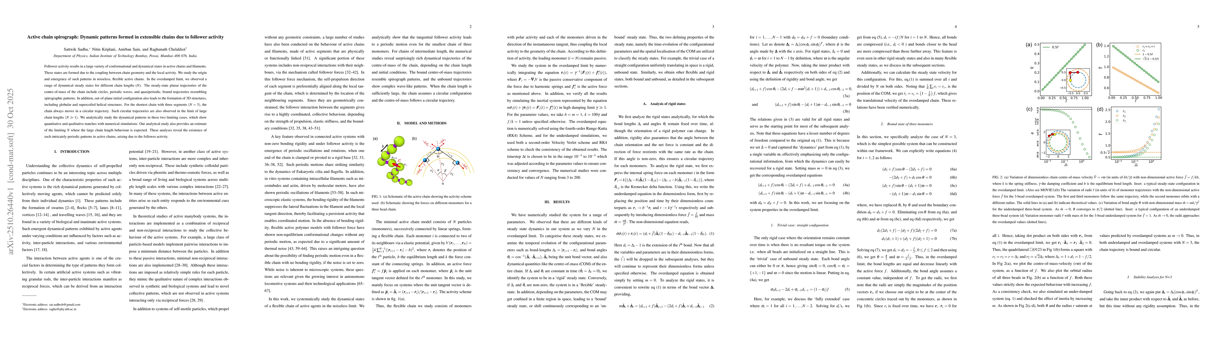 Thumbnail for Active chain spirograph: Dynamic patterns formed in extensible chains
  due to follower activity