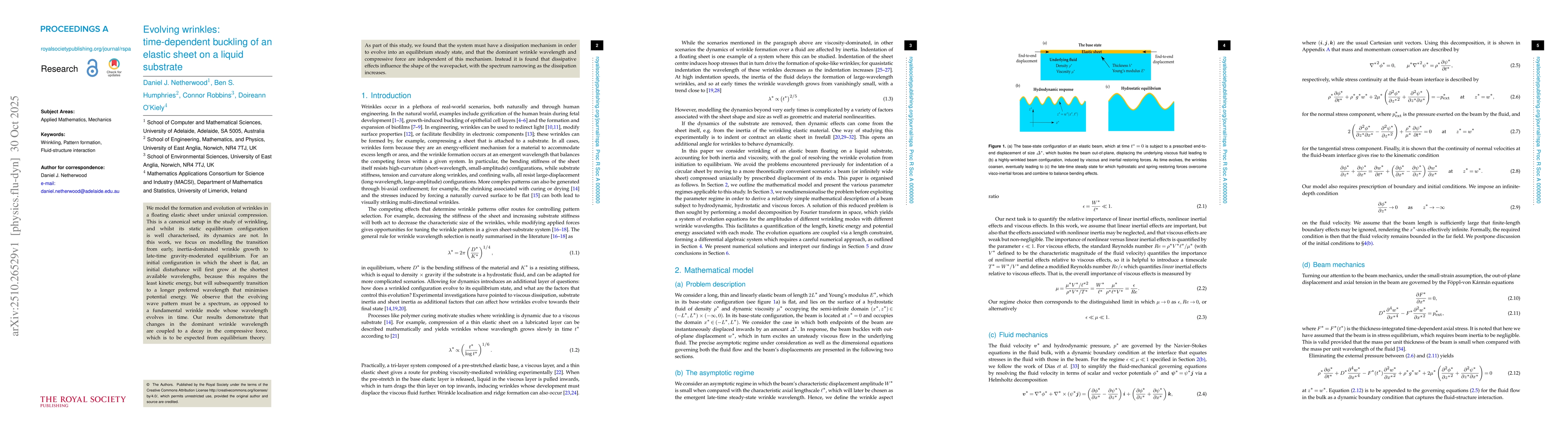 Thumbnail for Evolving wrinkles: time-dependent buckling of an elastic sheet on a
  liquid substrate