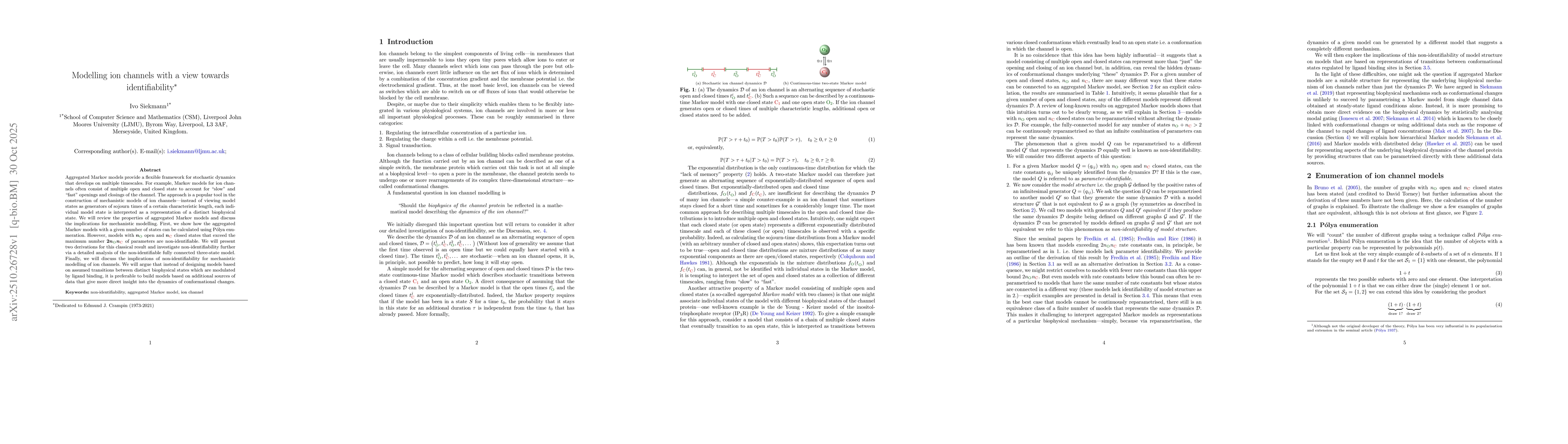Thumbnail for Modelling ion channels with a view towards identifiability