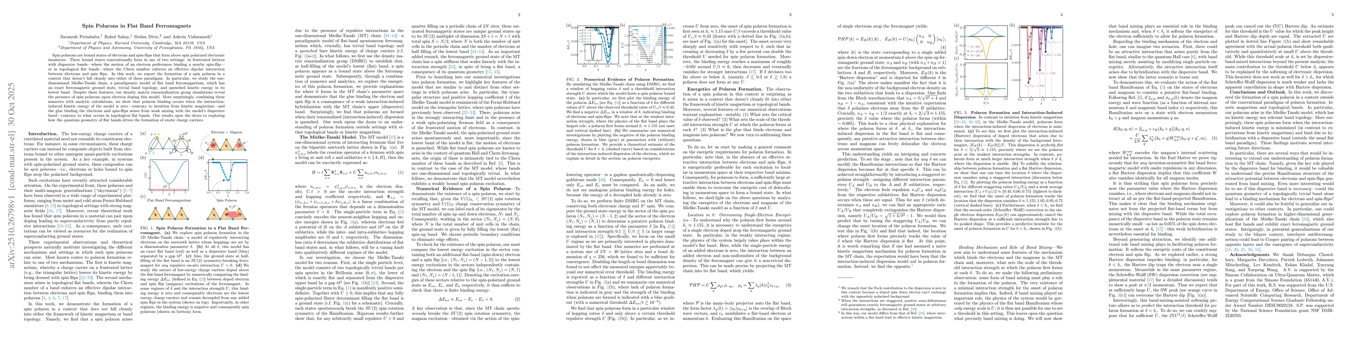 Thumbnail for Spin Polarons in Flat Band Ferromagnets