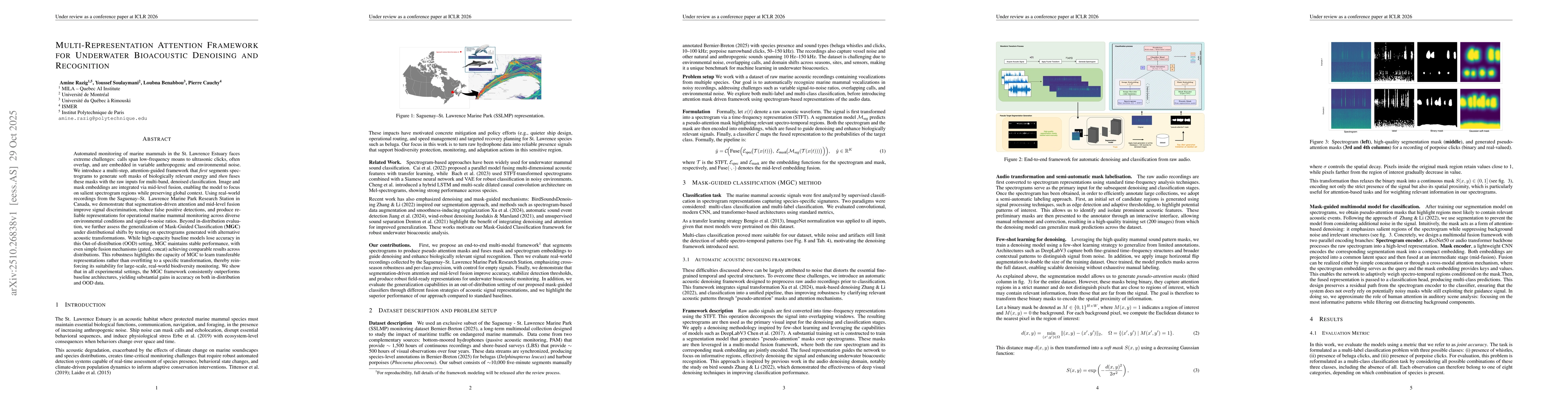 Thumbnail for Multi-Representation Attention Framework for Underwater Bioacoustic
  Denoising and Recognition