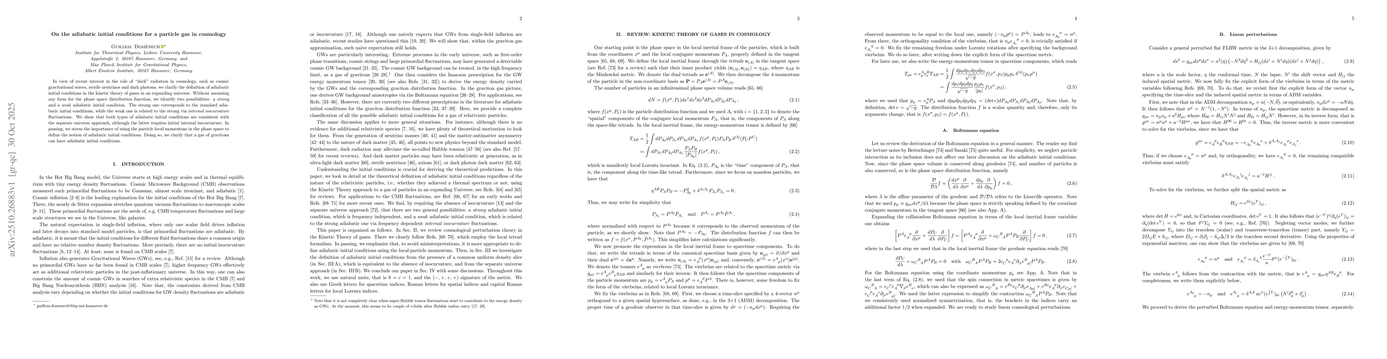 Thumbnail for On the adiabatic initial conditions for a particle gas in cosmology