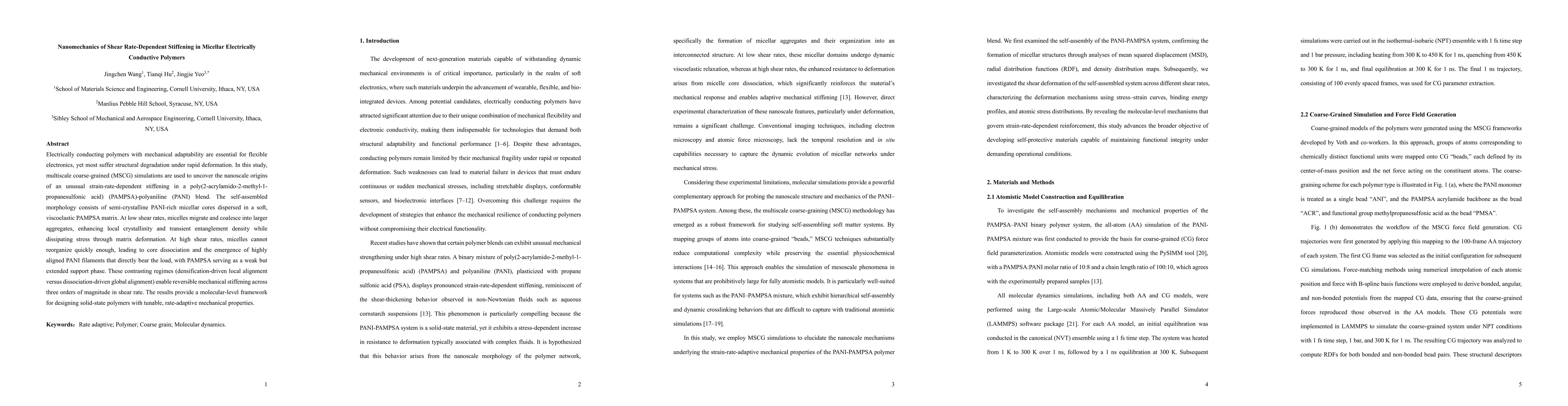 Thumbnail for Nanomechanics of Shear Rate-Dependent Stiffening in Micellar
  Electrically Conductive Polymers