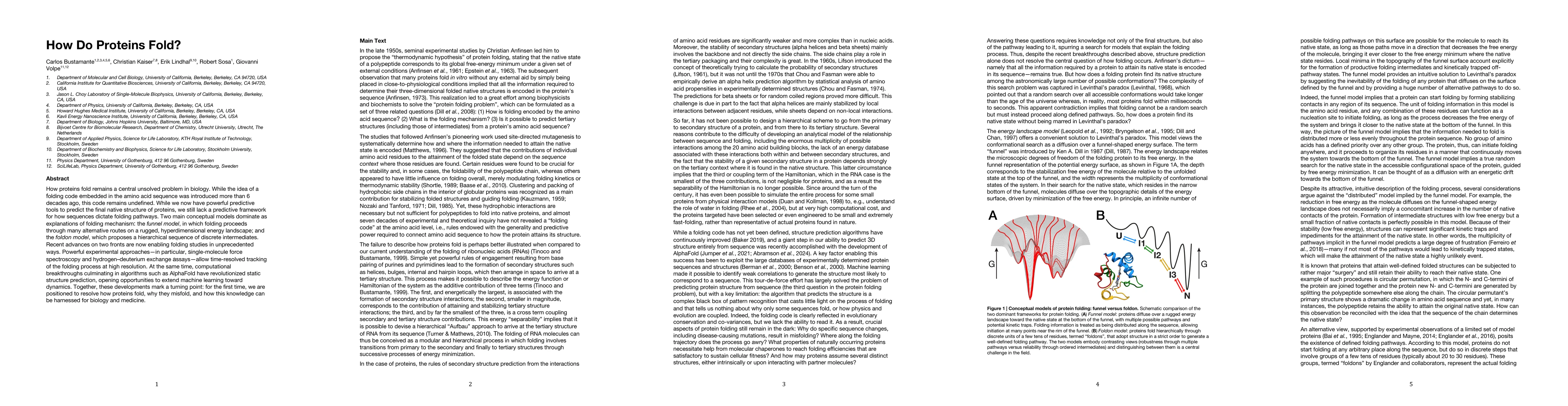 Thumbnail for How Do Proteins Fold?