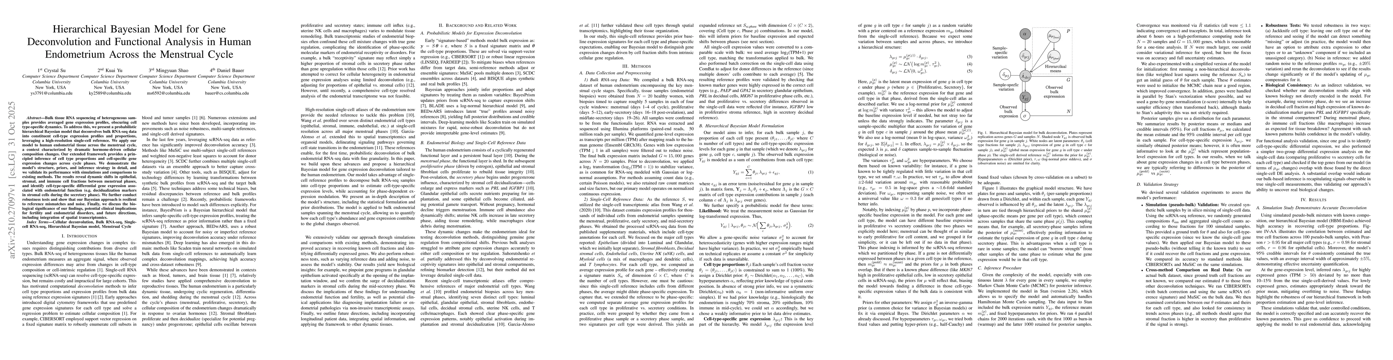 Thumbnail for Hierarchical Bayesian Model for Gene Deconvolution and Functional
  Analysis in Human Endometrium Across the Menstrual Cycle