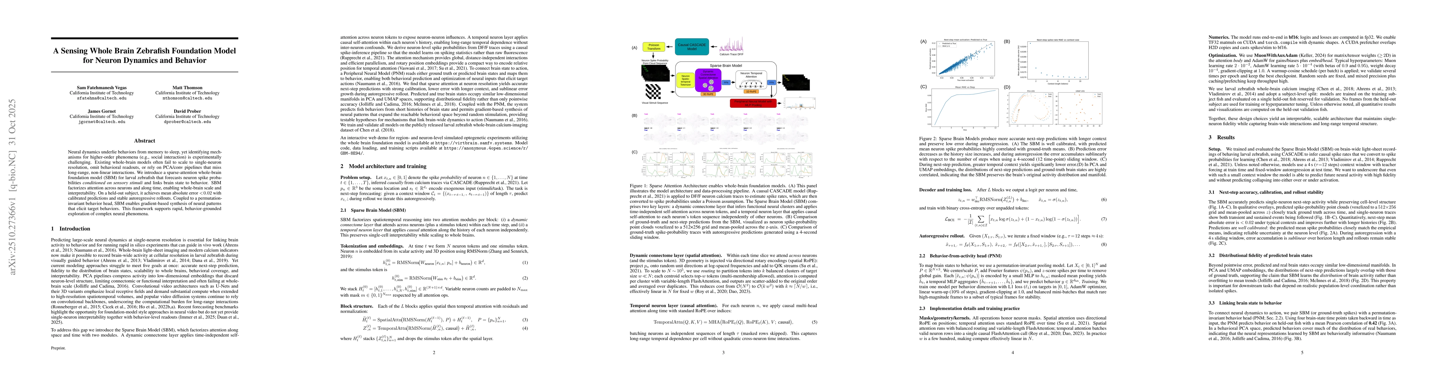 Thumbnail for A Sensing Whole Brain Zebrafish Foundation Model for Neuron Dynamics and
  Behavior