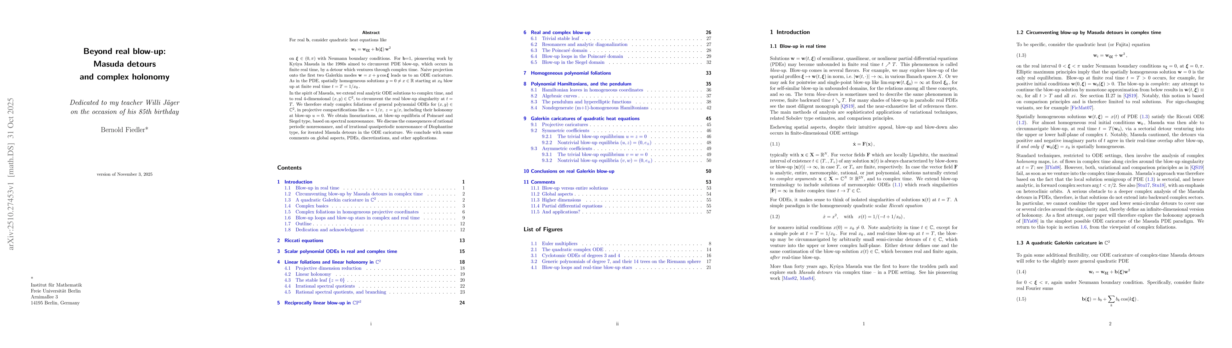 Thumbnail for Beyond real blow-up: Masuda detours and complex holonomy