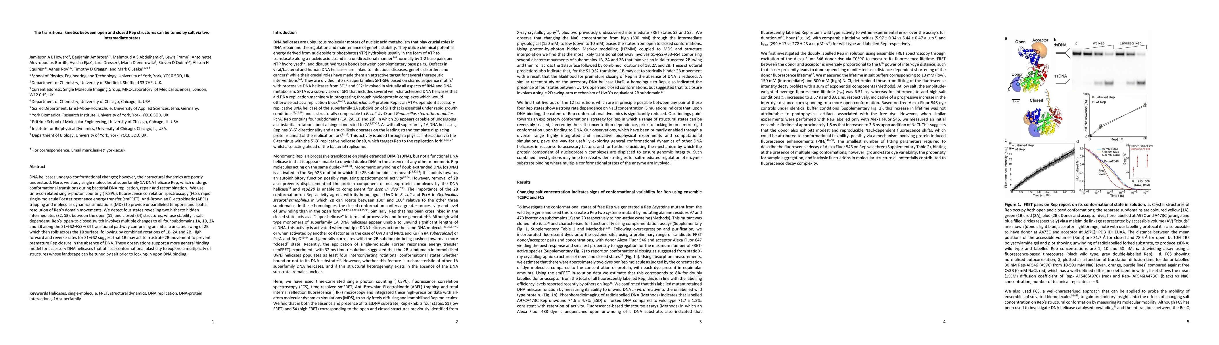 Thumbnail for The transitional kinetics between open and closed Rep structures can be
  tuned by salt via two intermediate states