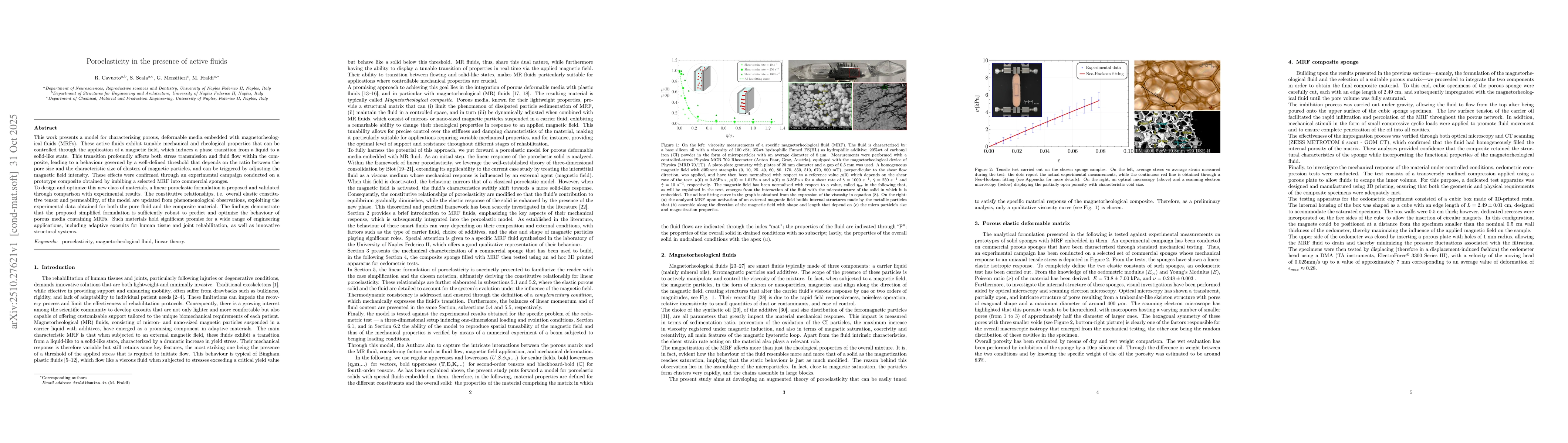 Thumbnail for Poroelasticity in the presence of active fluids