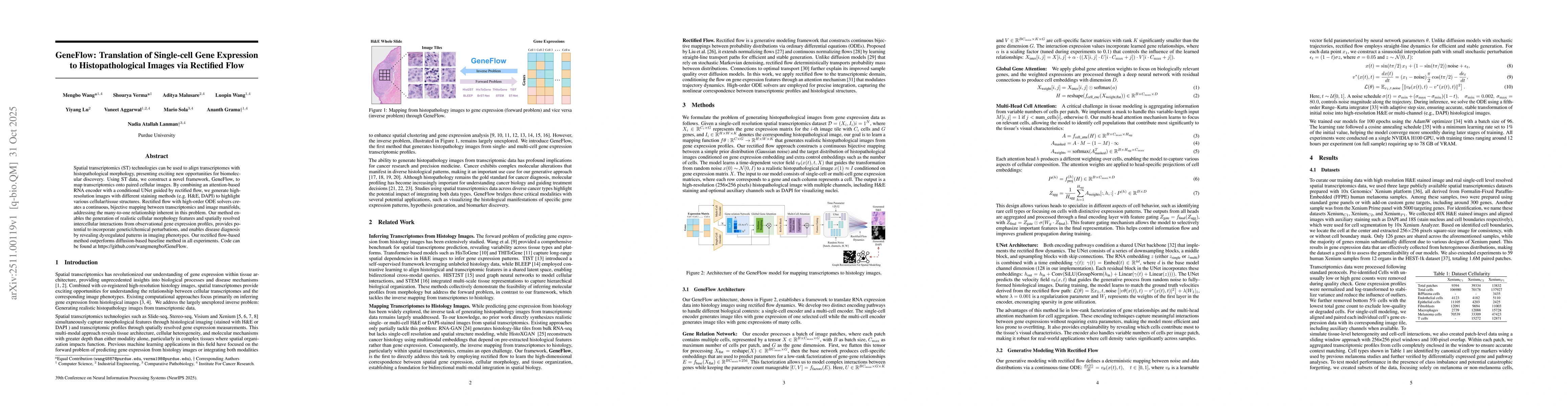 Thumbnail for GeneFlow: Translation of Single-cell Gene Expression to Histopathological Images via Rectified Flow