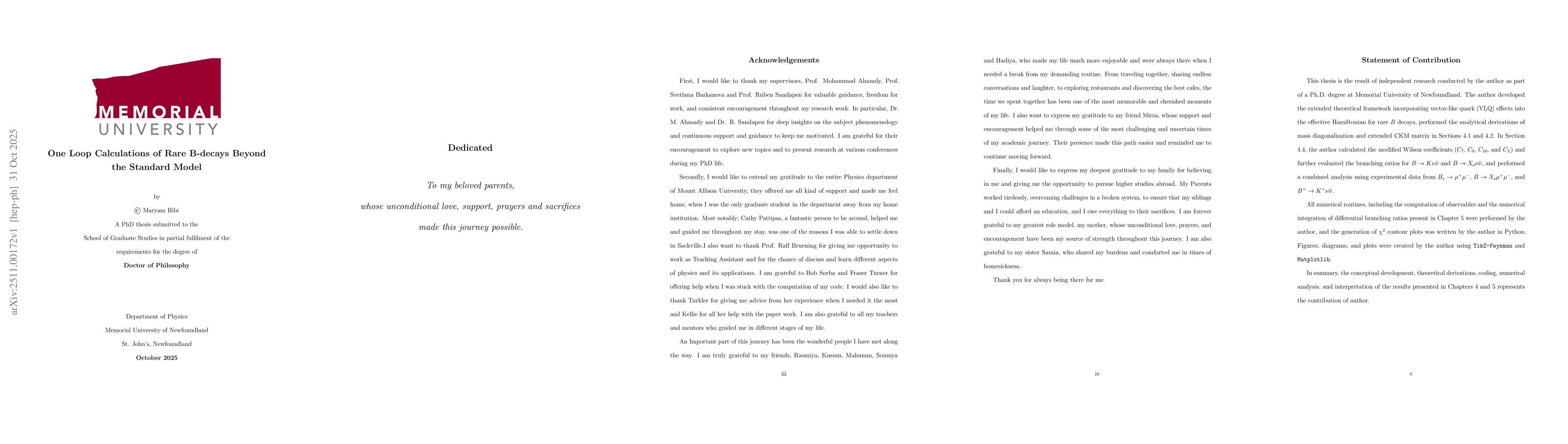 Thumbnail for One Loop Calculations of Rare B-decays Beyond the Standard Model