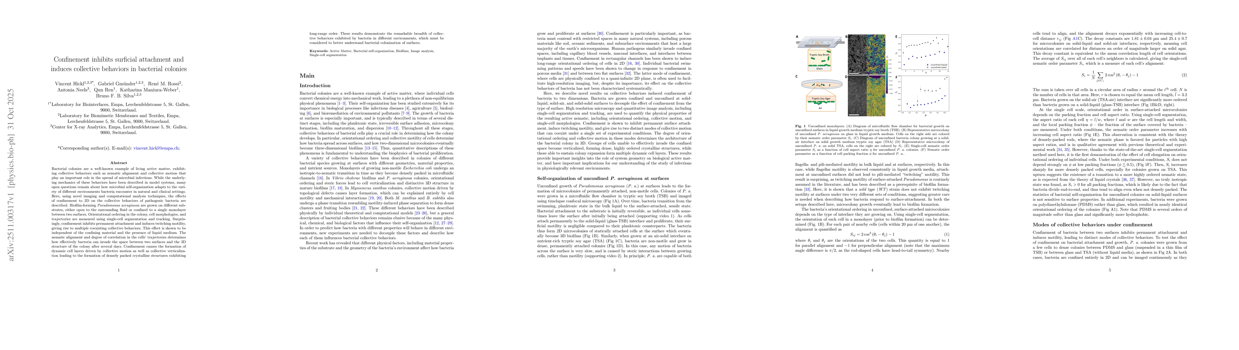 Thumbnail for Confinement inhibits surficial attachment and induces collective behaviors in bacterial colonies