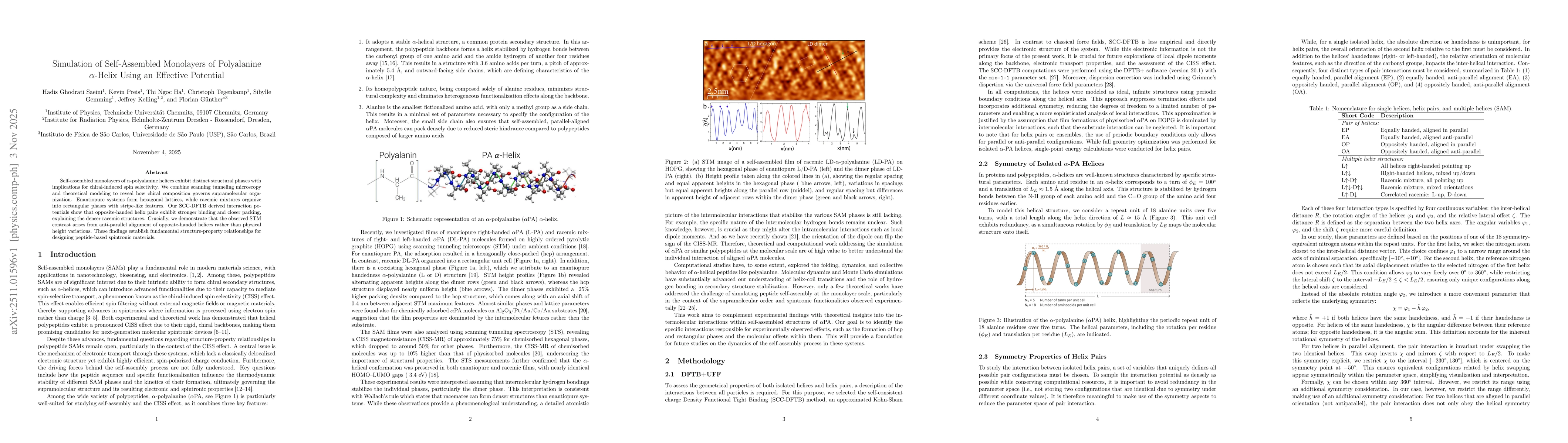Thumbnail for Simulation of Self-Assembled Monolayers of Polyalanine $α$-Helix Using an Effective Potential