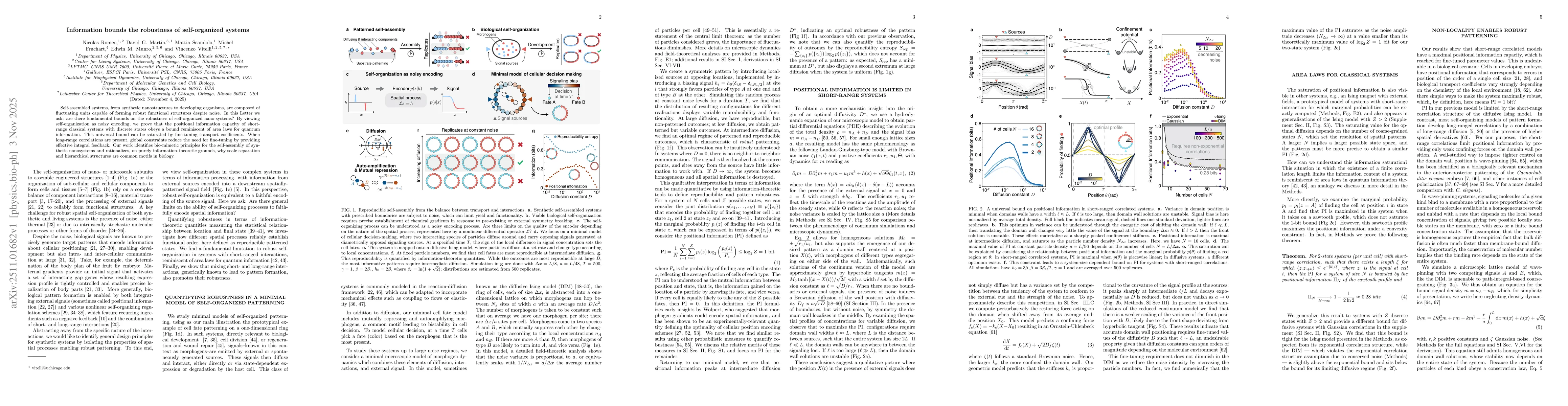 Thumbnail for Information bounds the robustness of self-organized systems