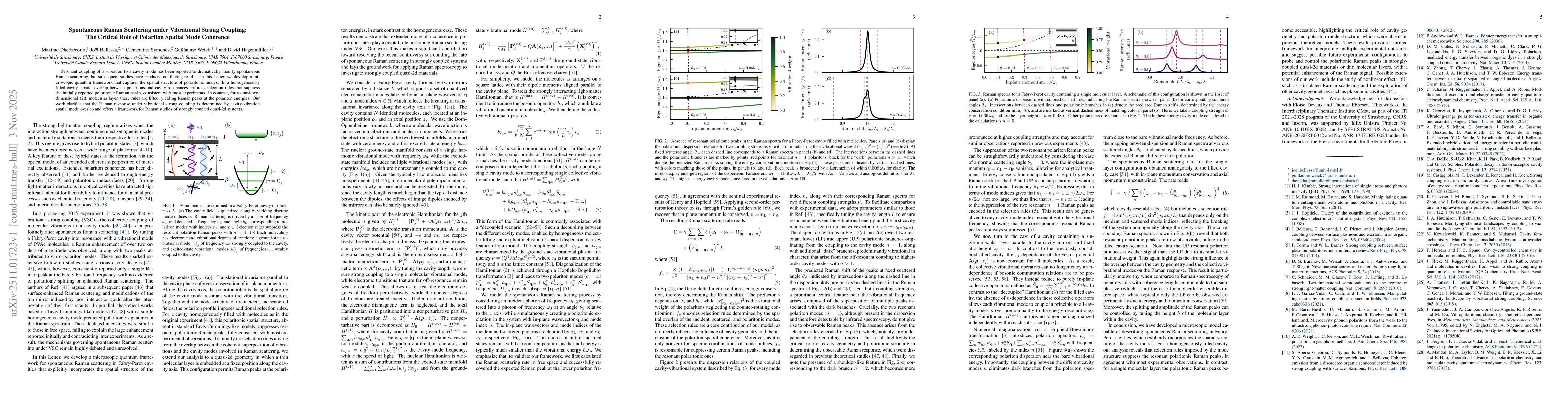 Thumbnail for Spontaneous Raman Scattering under Vibrational Strong Coupling: The Critical Role of Polariton Spatial Mode Coherence