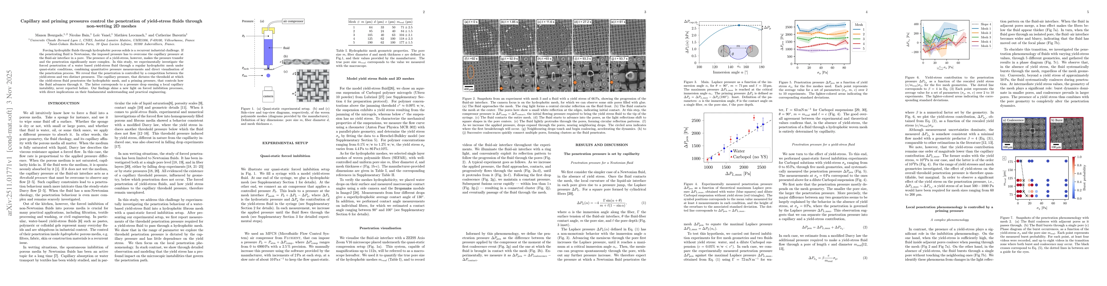 Thumbnail for Capillary and priming pressures control the penetration of yield-stress fluids through non-wetting 2D meshes