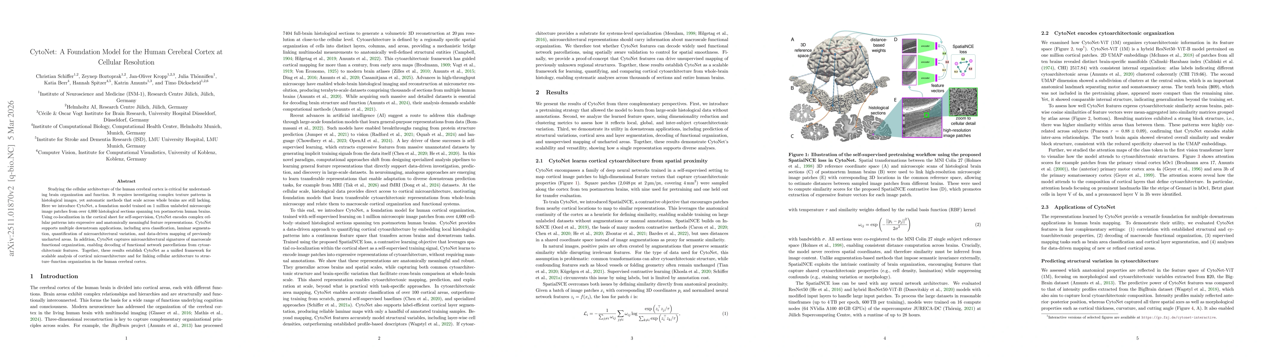Thumbnail for CytoNet: A Foundation Model for the Human Cerebral Cortex