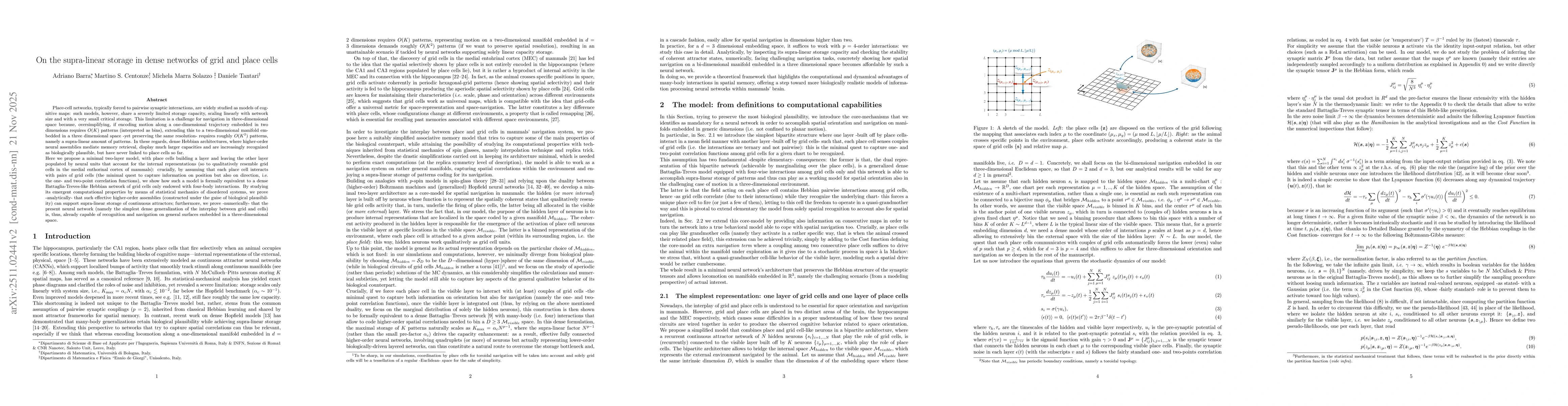 Thumbnail for On the supra-linear storage in dense networks of grid and place cells