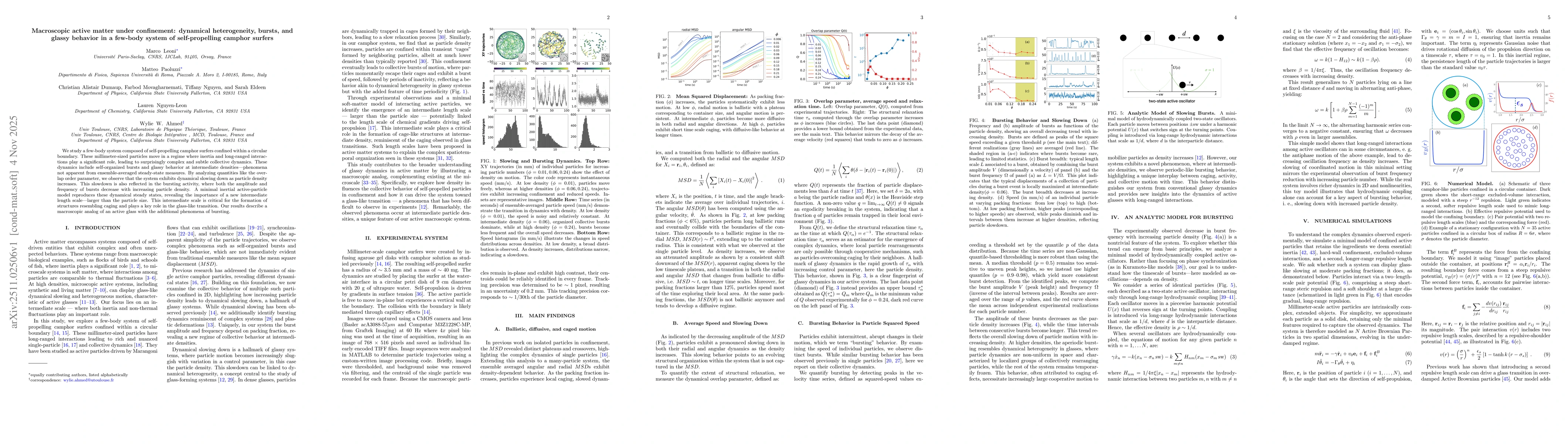 Thumbnail for Macroscopic active matter under confinement: dynamical heterogeneity, bursts, and glassy behavior in a few-body system of self-propelling camphor surfers