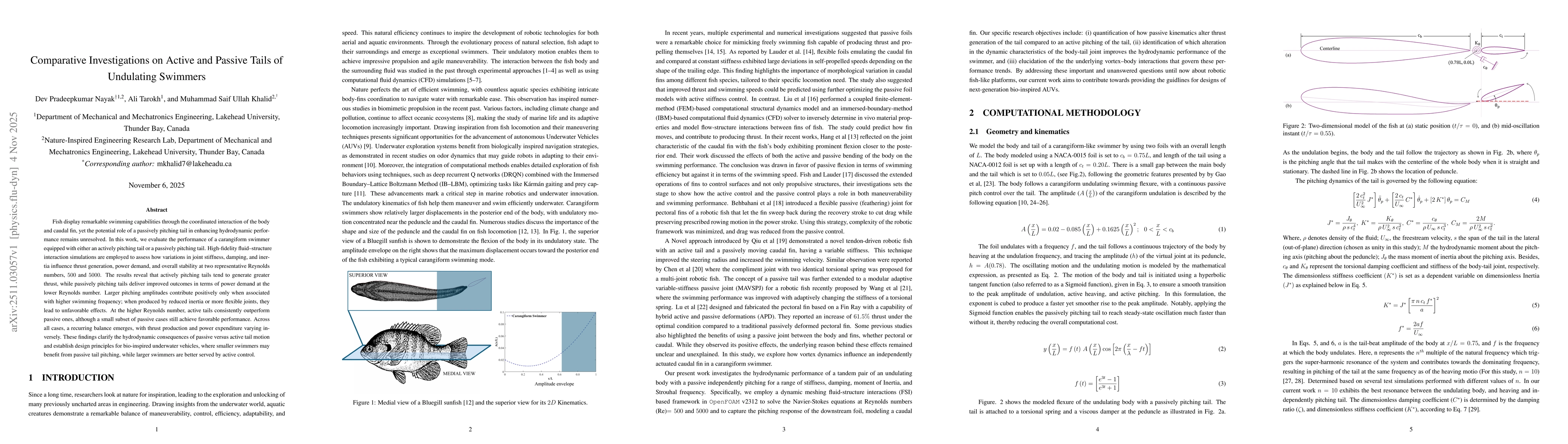 Thumbnail for Comparative Investigations on Active and Passive Tails of Undulating Swimmers