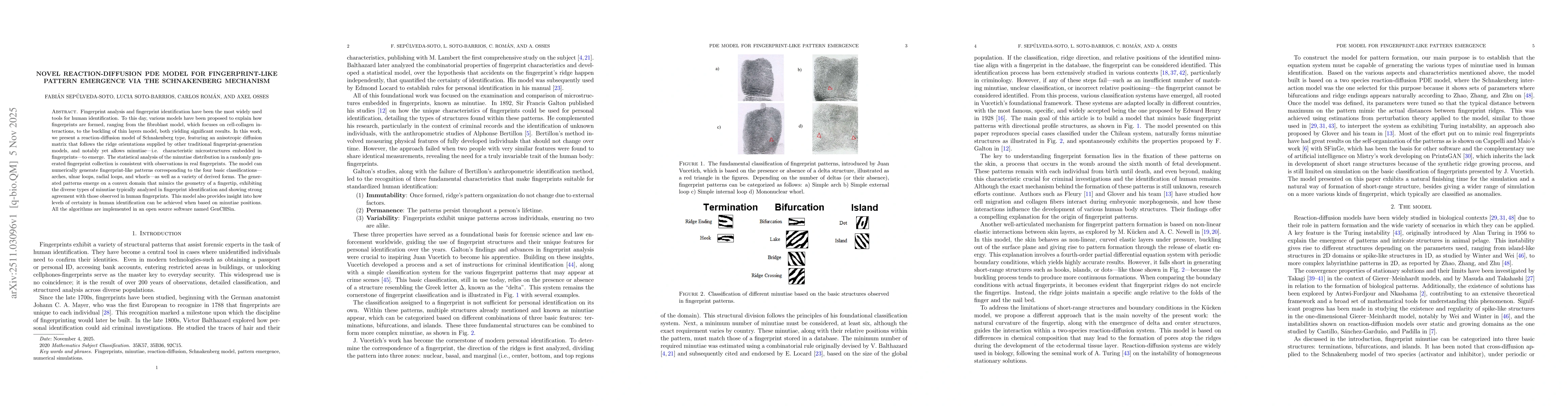 Thumbnail for Novel reaction-diffusion PDE model for fingerprint-like pattern emergence via the Schnakenberg mechanism