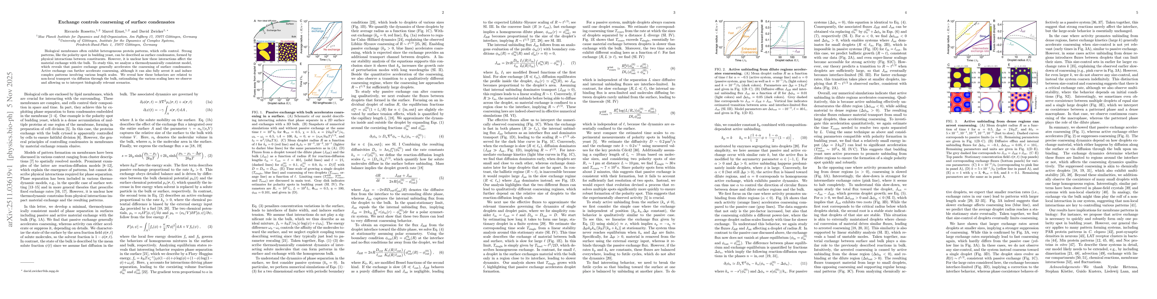 Thumbnail for Exchange controls coarsening of surface condensates