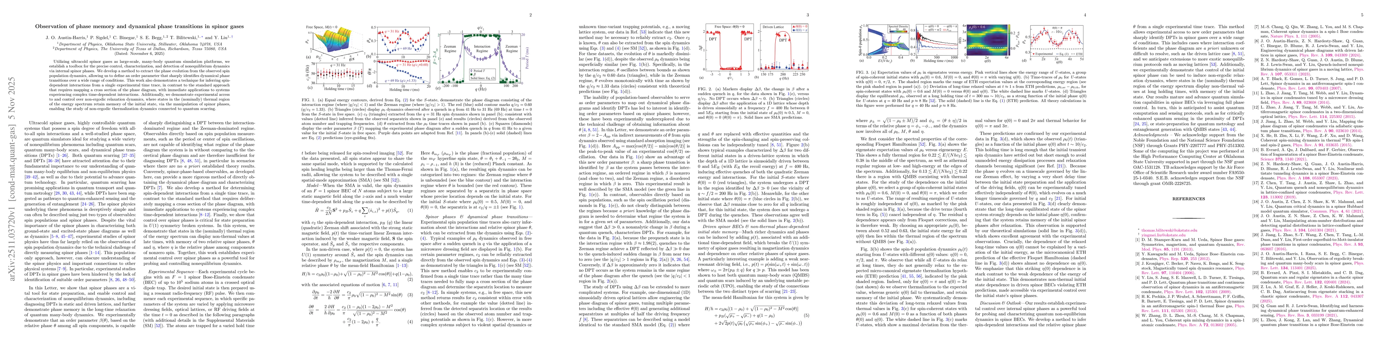Thumbnail for Observation of phase memory and dynamical phase transitions in spinor gases